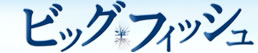�r�b�O�t�B�b�V��
