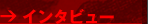 �C���^�r���[