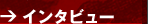 �C���^�r���[