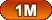 1M
