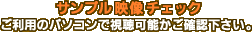 �T���v���f���`�F�b�N