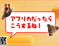 �A���f�B�E�I���S���̂��Y�ݑ��k���@�A�t���J�������炱������ˁI