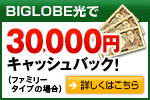 �t���b�c���̃L�����y�[�����{��