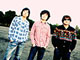 the pillows