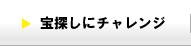 宝探しにチャレンジ