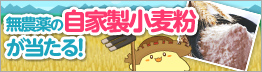うまかもん食べよう！プロジェクト第4弾