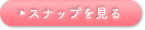 スナップを見る