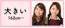 大きい 162cm～