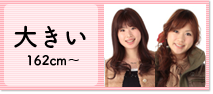 大きい 162cm～