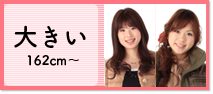 大きい 162cm～