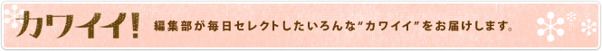 カワイイ！
