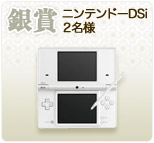 ��܁@�j���e���h�[ DSi 2���l
