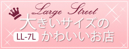 �傫���T�C�Y