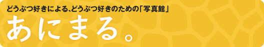 ���ɂ܂�B