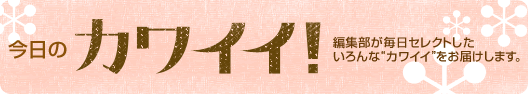 �����̃J���C�C�I