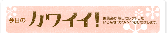 �����̃J���C�C�I