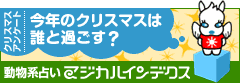 �}�W�J���C���f�b�N�X�@�A���P�[�g�I