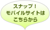 �X�i�b�v�I���o�C���T�C�g�͂����炩��