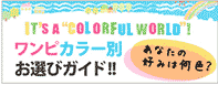 ワンピカラー別お選びガイド