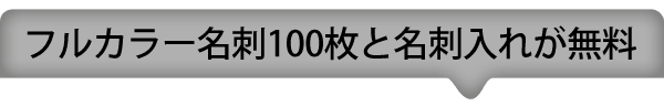 フルカラー名刺250枚と名刺入れが無料