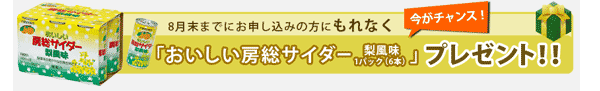 今がチャンス！8月末までにお申し込みの方にもれなく「おいしい房総サイダー（梨風味）1ケース」プレゼント！