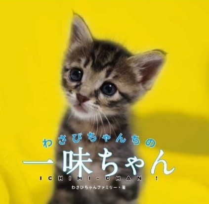 一味ちゃん