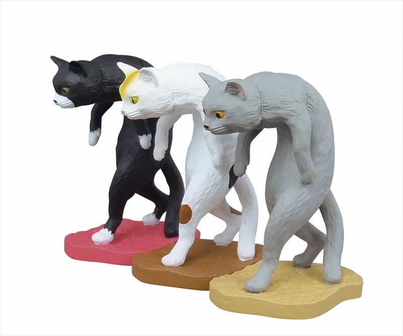 猫背