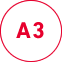 A3