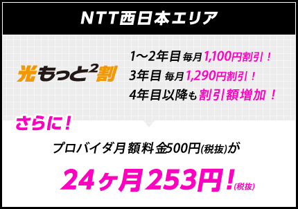 高品質 業界最安値 フレッツ光サービスはbbエキサイト