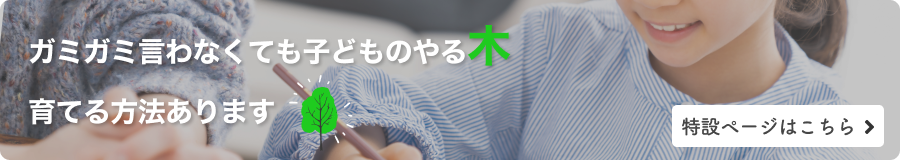 保護者向け ガミガミ言わなくても子どものやる木育てる方法あります