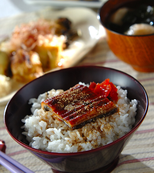 ウナ丼 動画 – ウナ丼の旅 Youtube : [Unadon Buys a Car 2] A Fierce Tour in Osaka ...