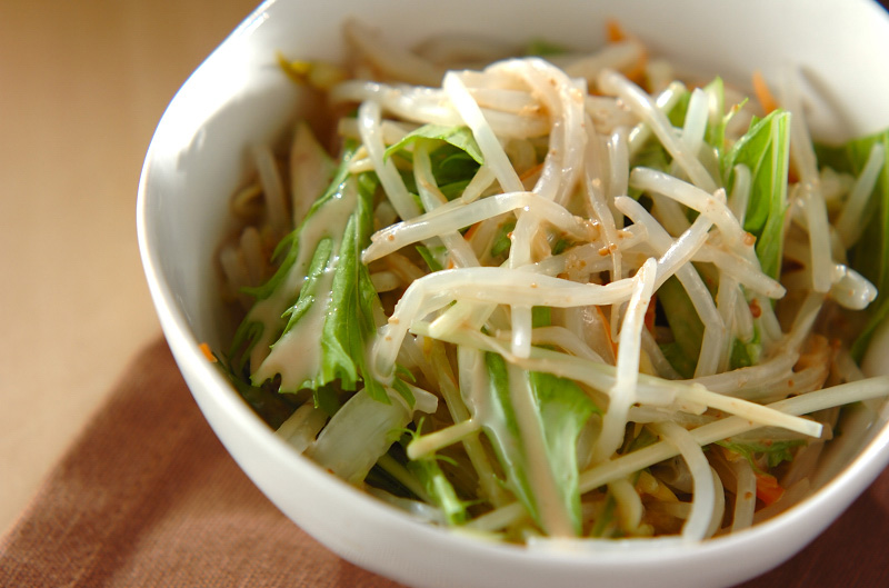 モヤシと白菜のサラダ 副菜 レシピ 作り方 E レシピ 料理のプロが作る簡単レシピ