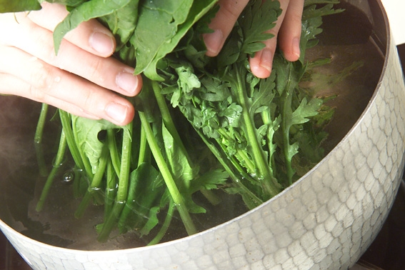 ほうれん草のおひたしの作り方の手順1