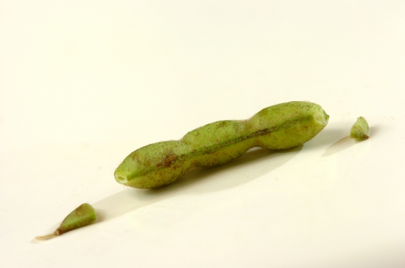 枝豆入り卵サラダの作り方の手順1