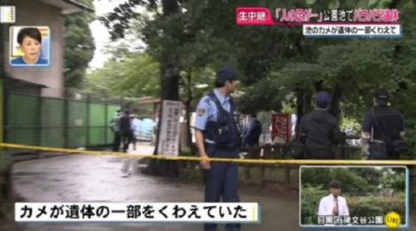 まとめよう 画像 碑文谷公園弁天池でバラバラ遺体 殺人事件か フレンズちゃんねる