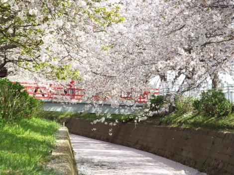 日常 平塚 渋田川 フレンズちゃんねる