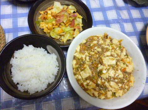 日常 新米とマーボー豆腐 フレンズちゃんねる