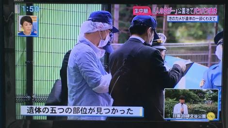 まとめよう 画像 碑文谷公園弁天池でバラバラ遺体 殺人事件か フレンズちゃんねる