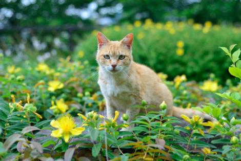 ニュース 堂本剛が ダンスを封印した 切実な理由 エキサイトニュース 1 2 フレンズちゃんねる