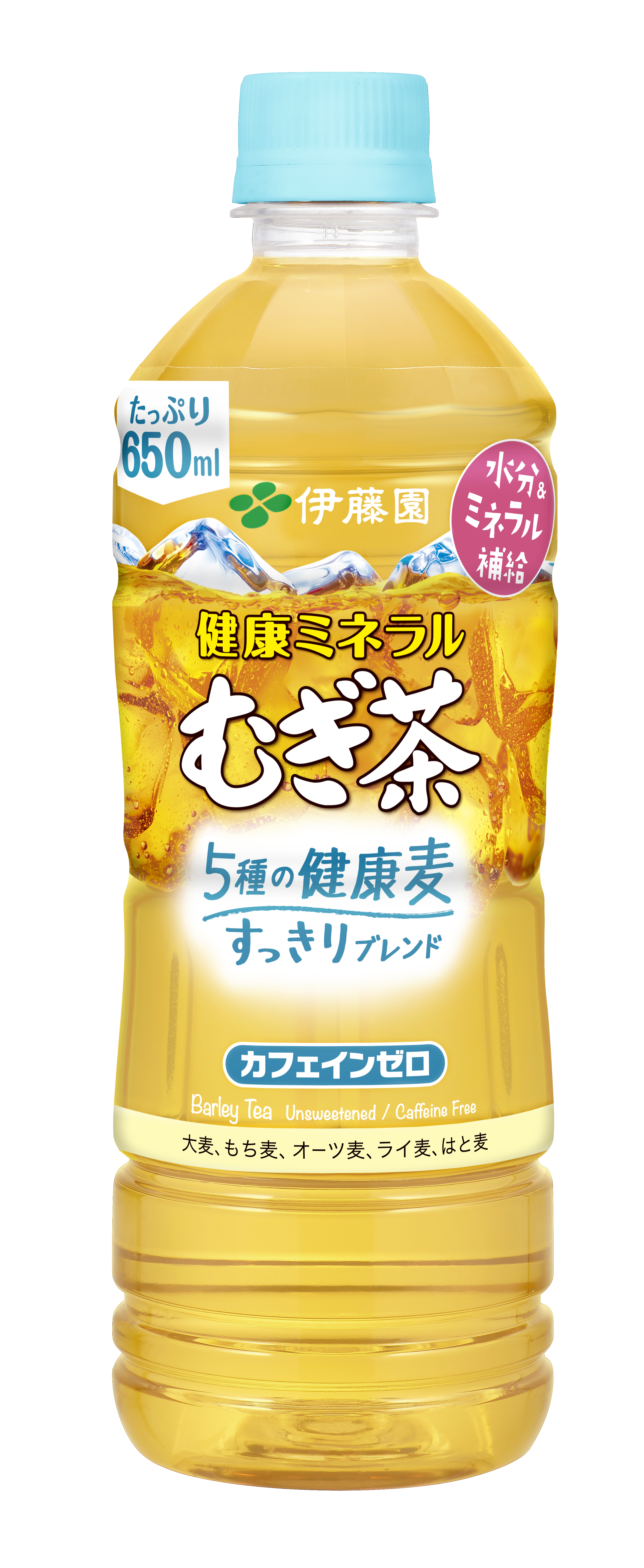 室内でも暑さに注意!? ママ専門医に聞く子どもの暑さ対策【モチコの親バカ&ツッコミ育児 第140話】