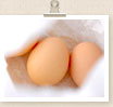 卵・乳製品