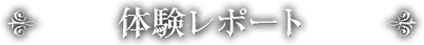 体験レポート